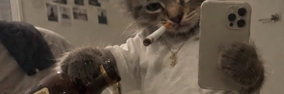 louievpercs's profile banner image