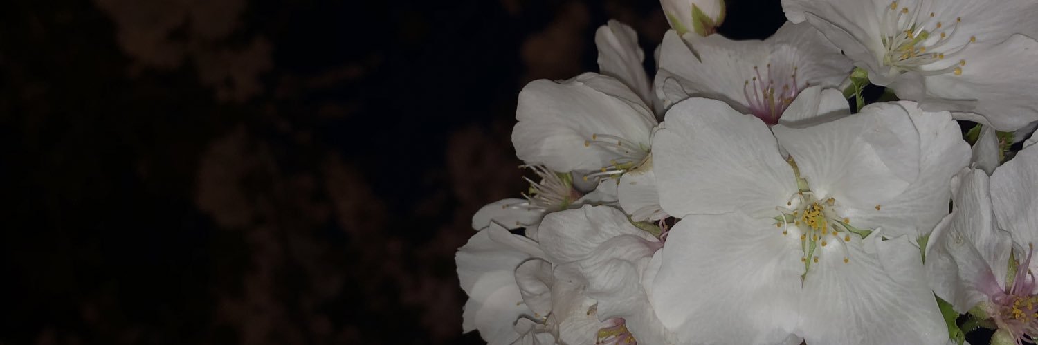 wtlk_'s profile banner image