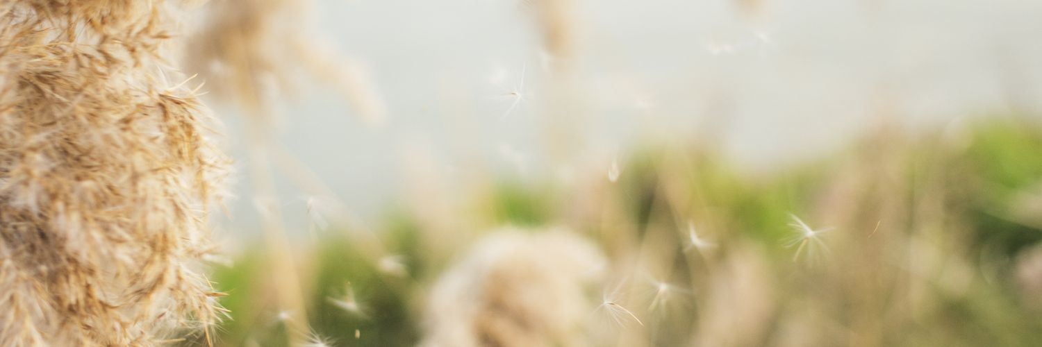 theboyislyc's profile banner image