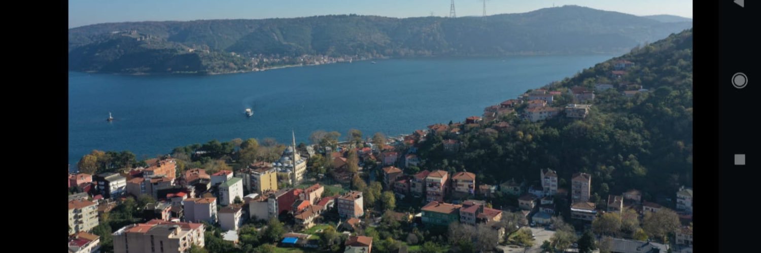 bayhalis's profile banner image