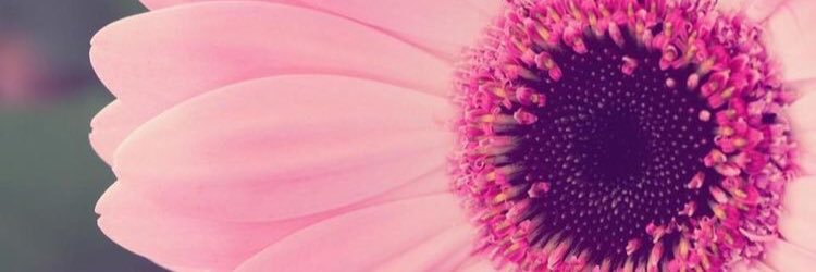 jmarie2217's profile banner image