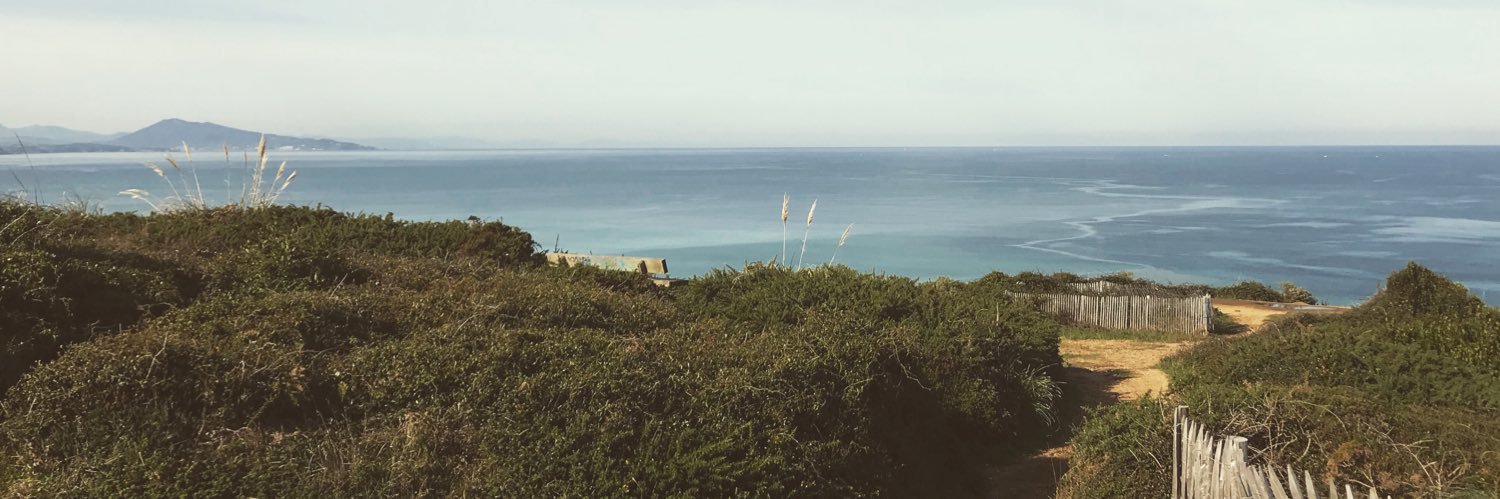 FloraBarthe's profile banner image