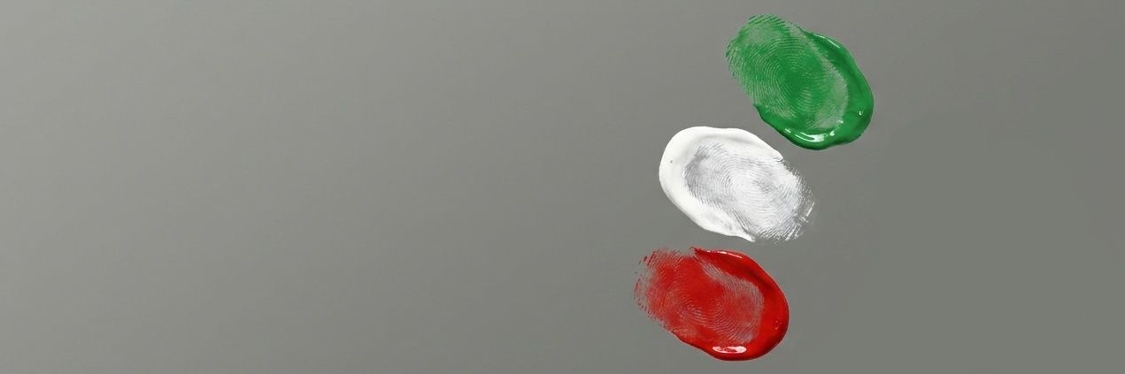 Mona banner
