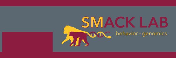 SMack_Lab Profile Banner