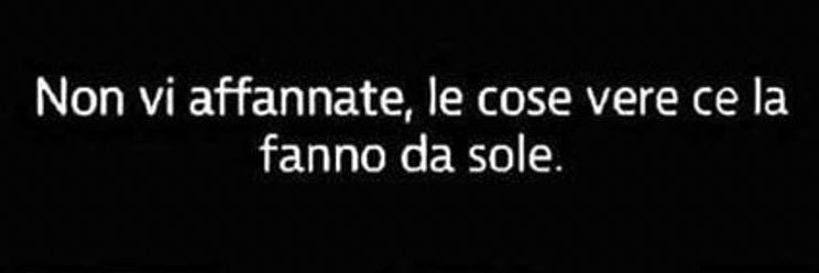 Fede banner