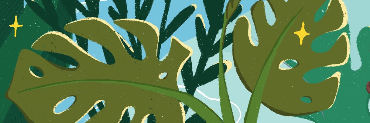 anasteicat's profile banner image
