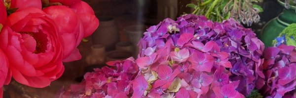 AmazoneVibes Profile Banner