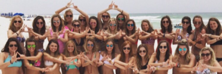 HaleySullivan98's profile banner image