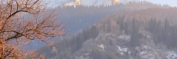 devi1s_dozen Profile Banner