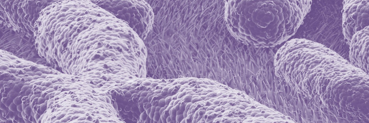 Genes MDPI's banner