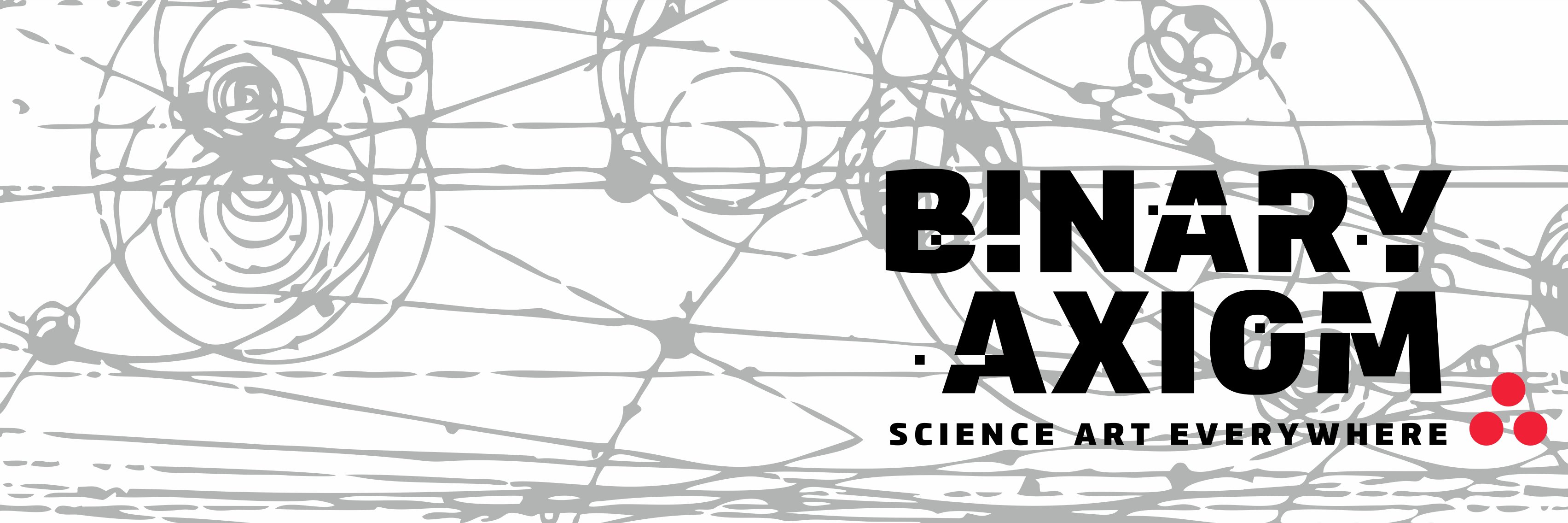 BinaryAxiom's profile banner image