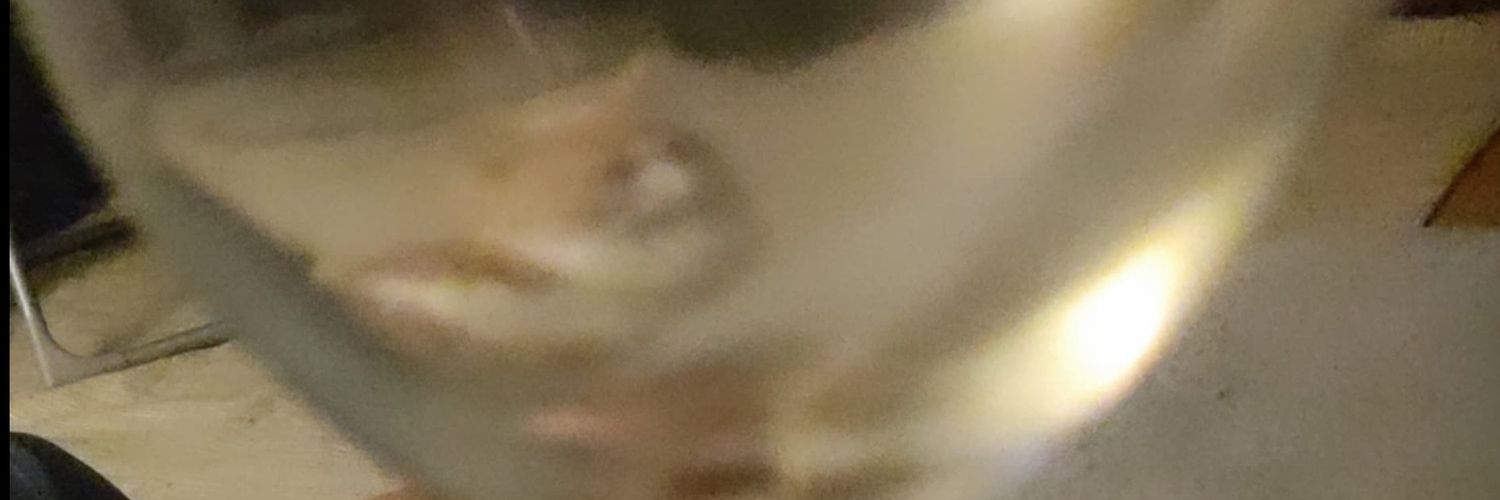 toomichou's profile banner image
