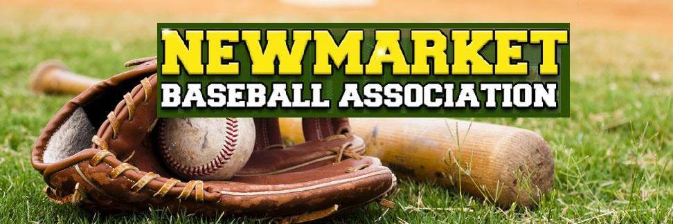 Newmarket Baseball banner