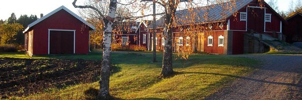 paulasimoes Profile Banner