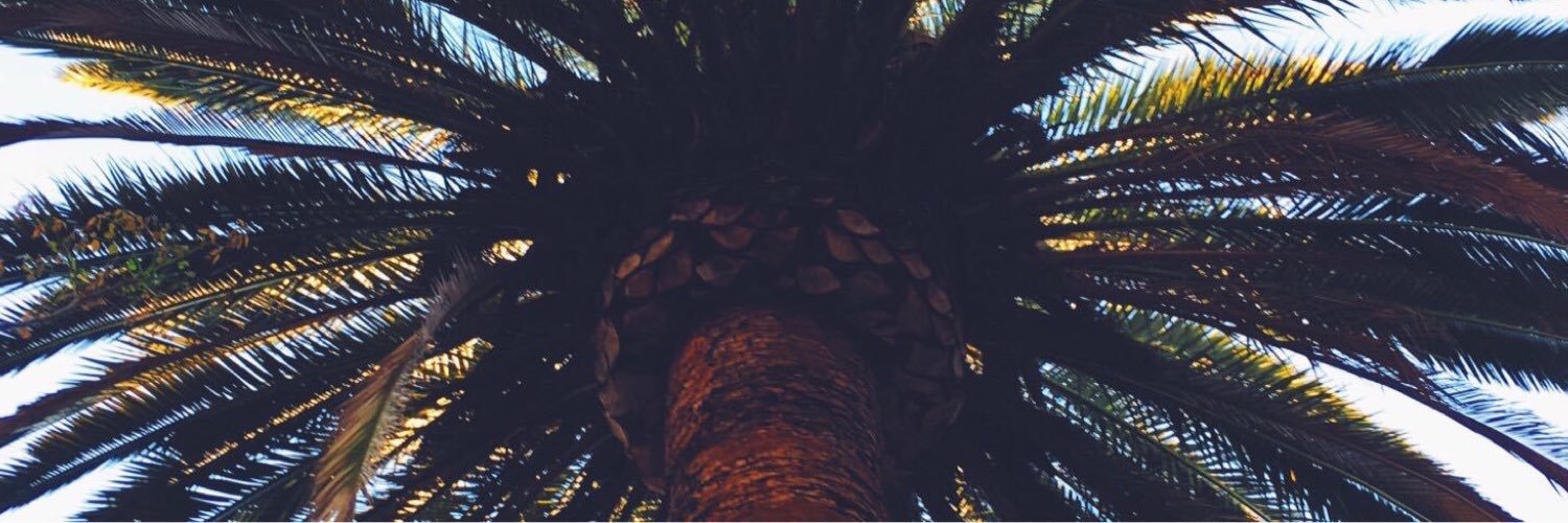ErikaHubbs's profile banner image