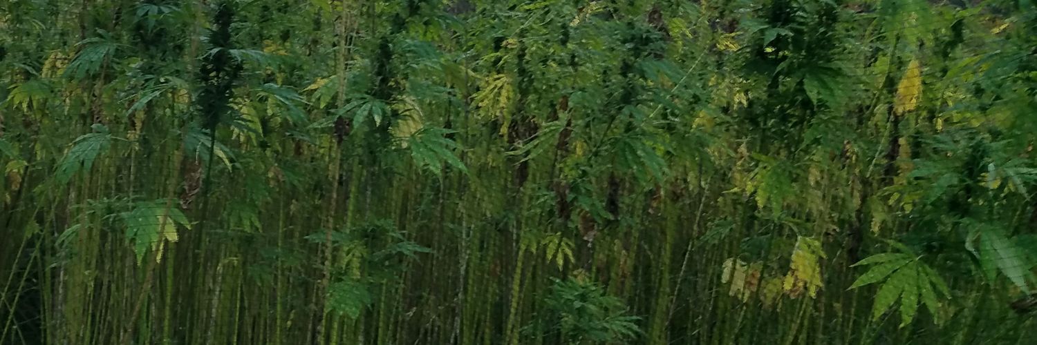 runningontime's profile banner image