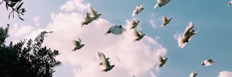 Raghda666's profile banner image