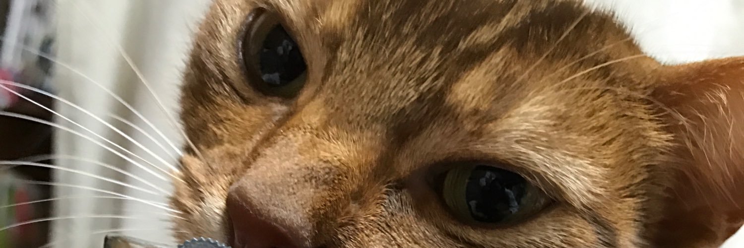 daway2die's profile banner image