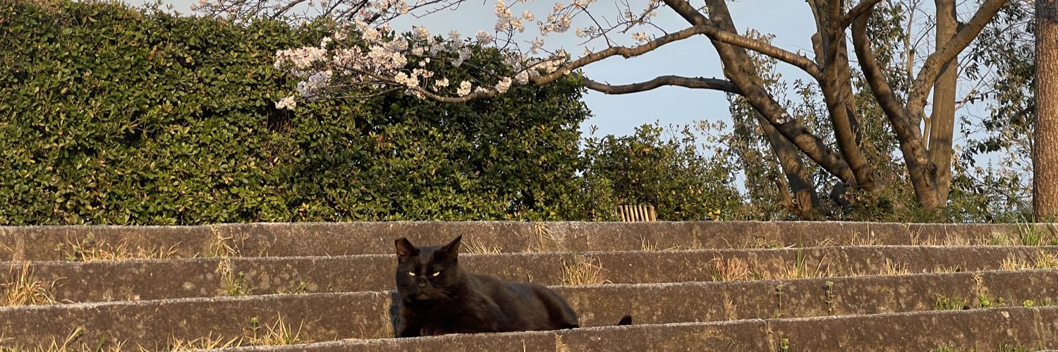 mishimasukio's profile banner image