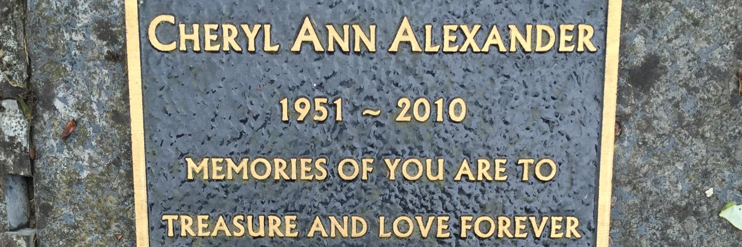 chris alexander banner