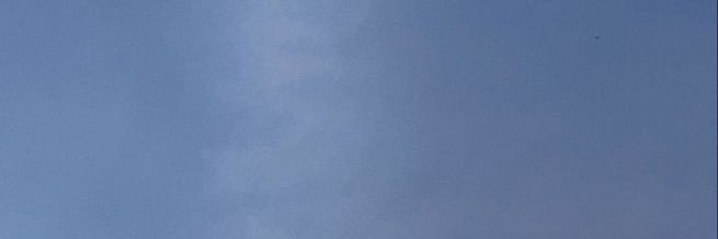 ijm. banner