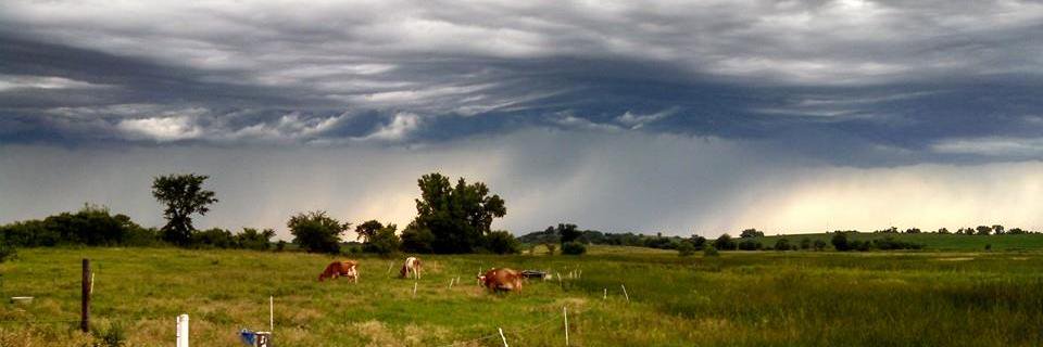 Crystal A. Powers banner