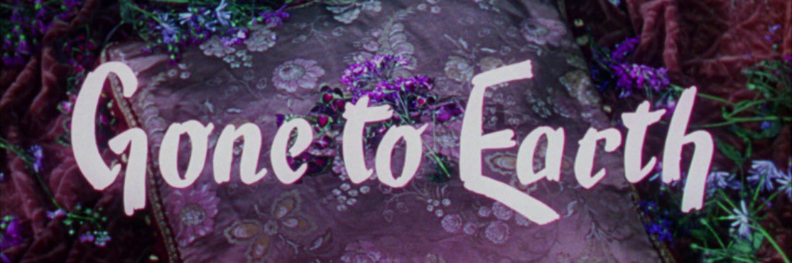 ⭑.ᐟAshley｡𖦹°‧ banner