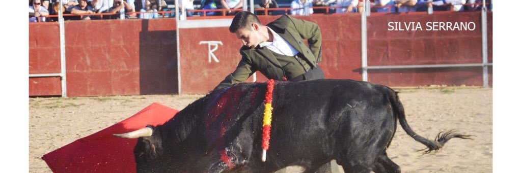 omar_toros's profile banner image