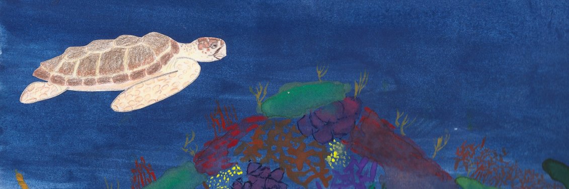 Kate Cook Whitt banner