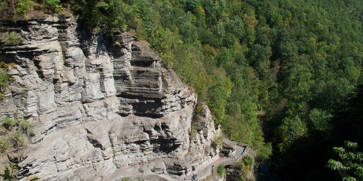 owlgorge's profile banner image