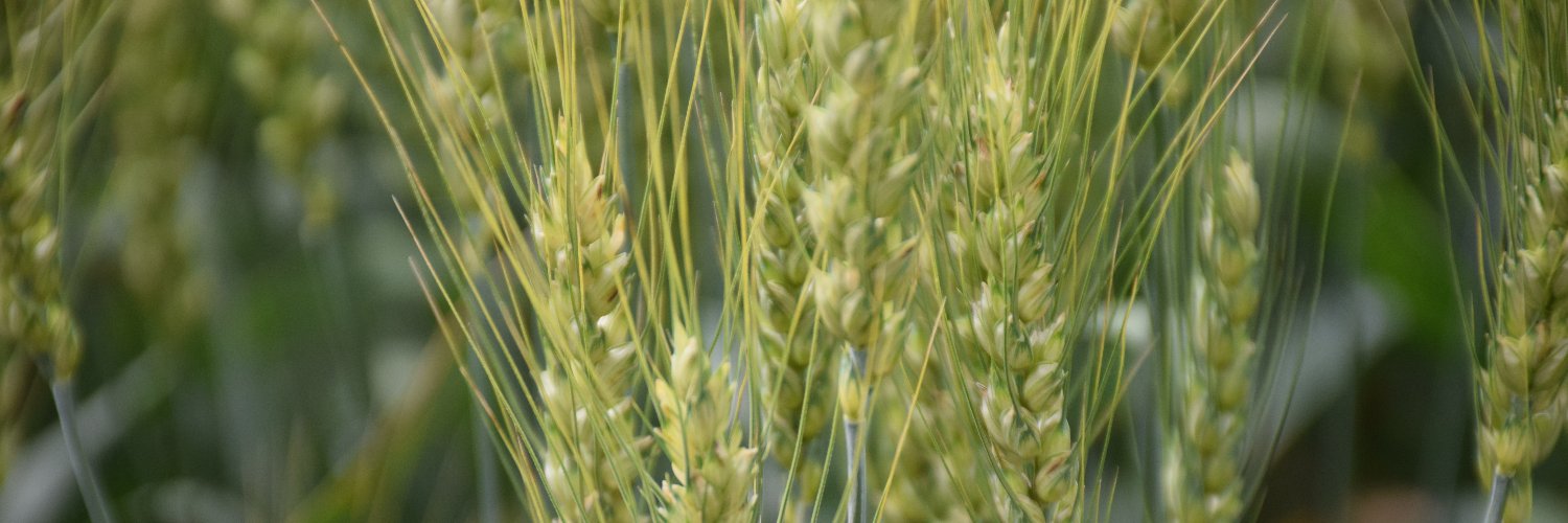 Top Crop Manager banner