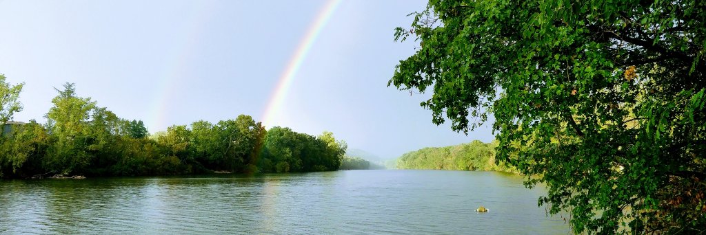Michaël Pailloncy banner