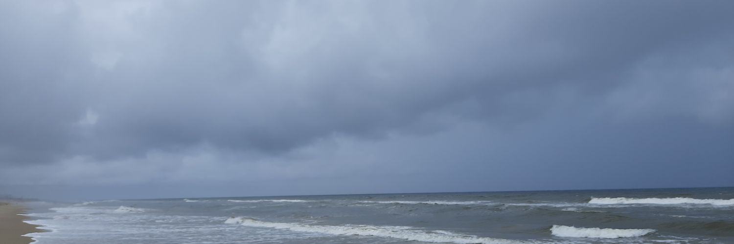 Unpopular Opinionist banner