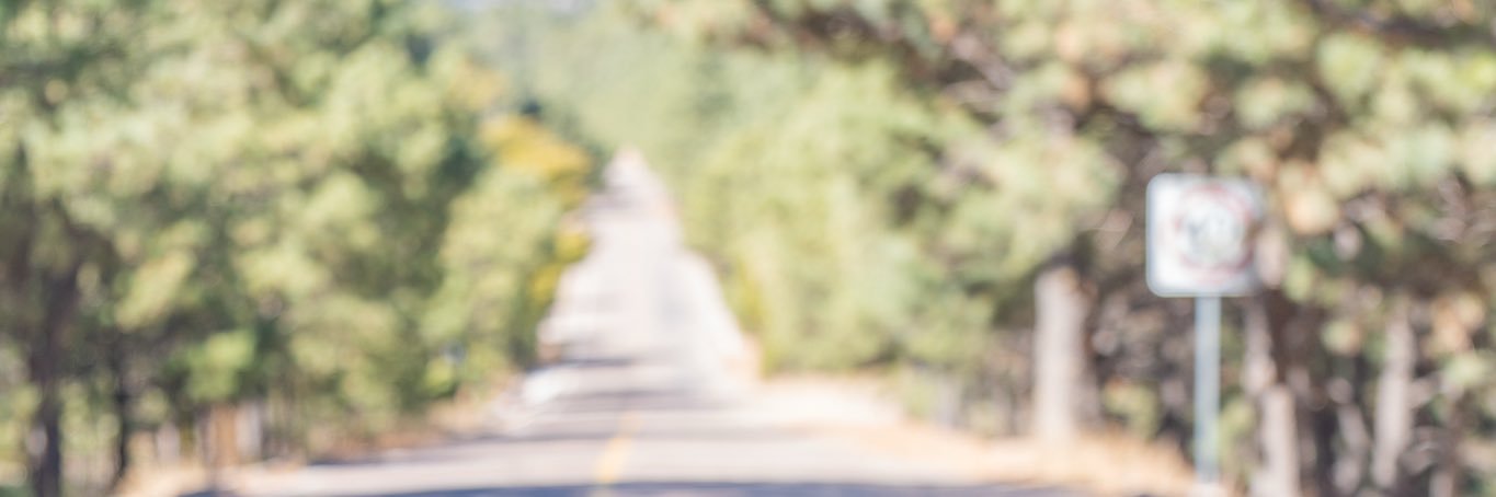 ales_autumn's profile banner image