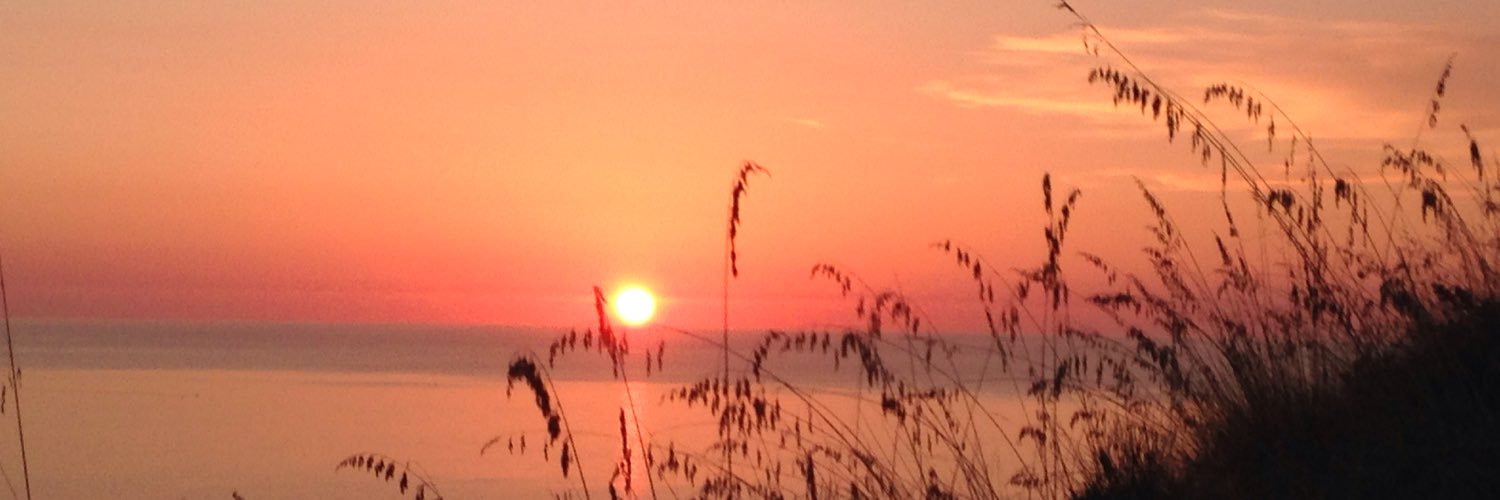 annascilingo's profile banner image