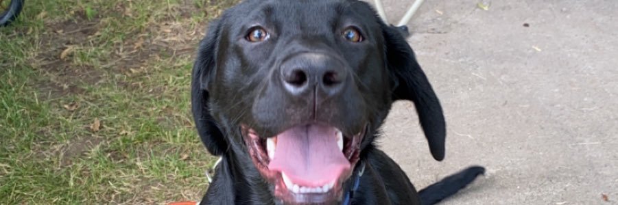 Jacob Lee banner