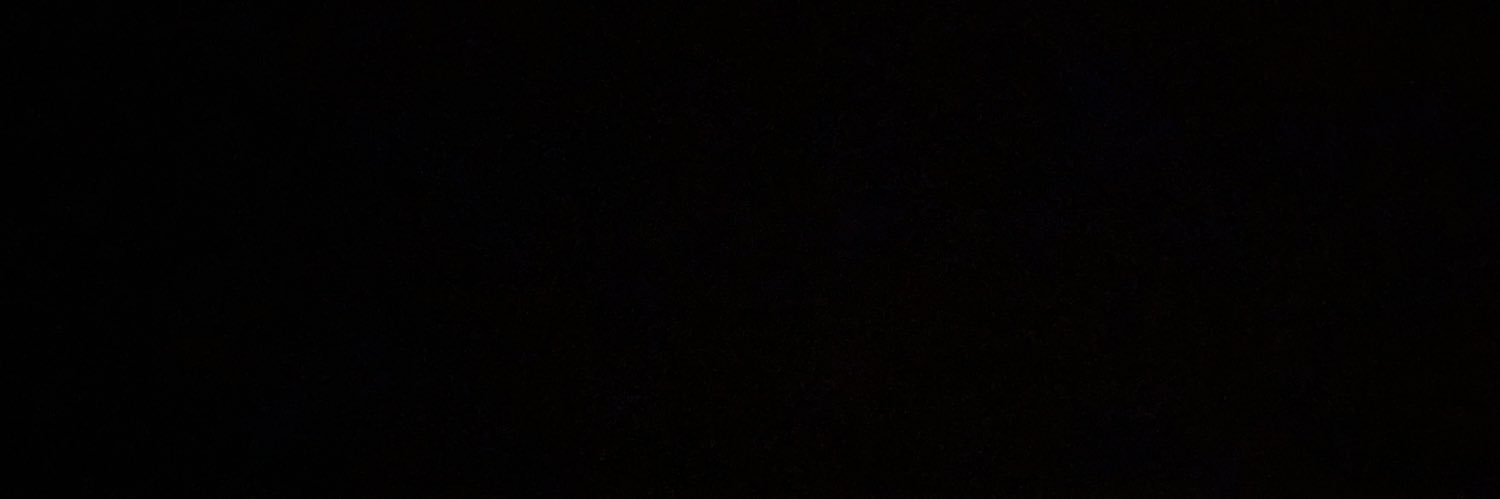 saragmarchena's profile banner image