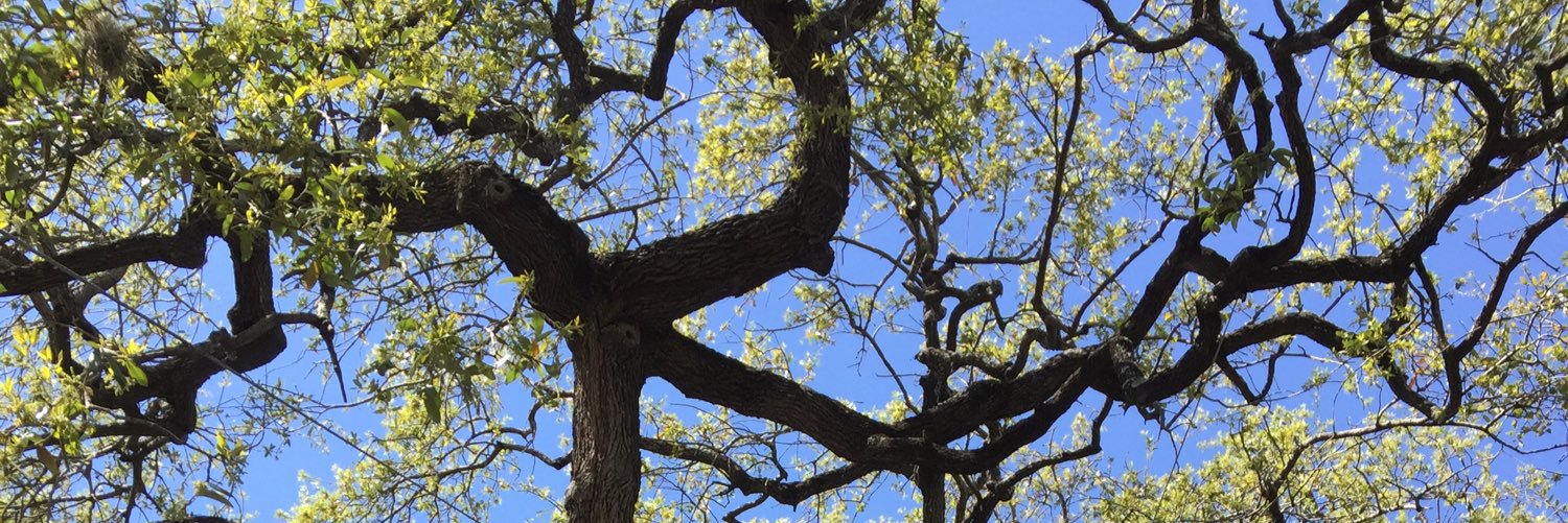 Heather LeGrand banner