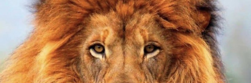 Nathh53's profile banner image