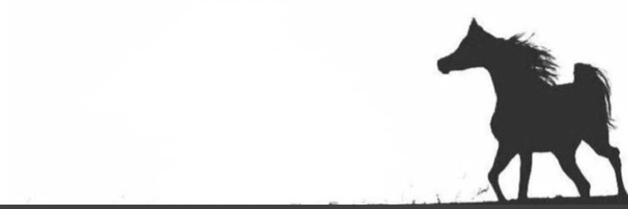 A_So_3's profile banner image