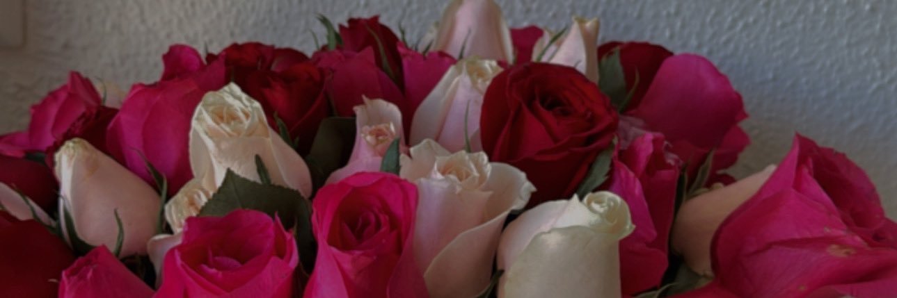 Bbysita💋 banner