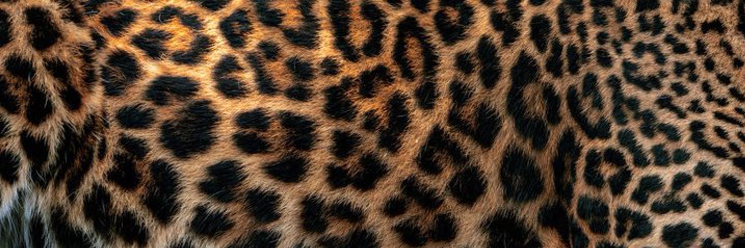 realninilove's profile banner image