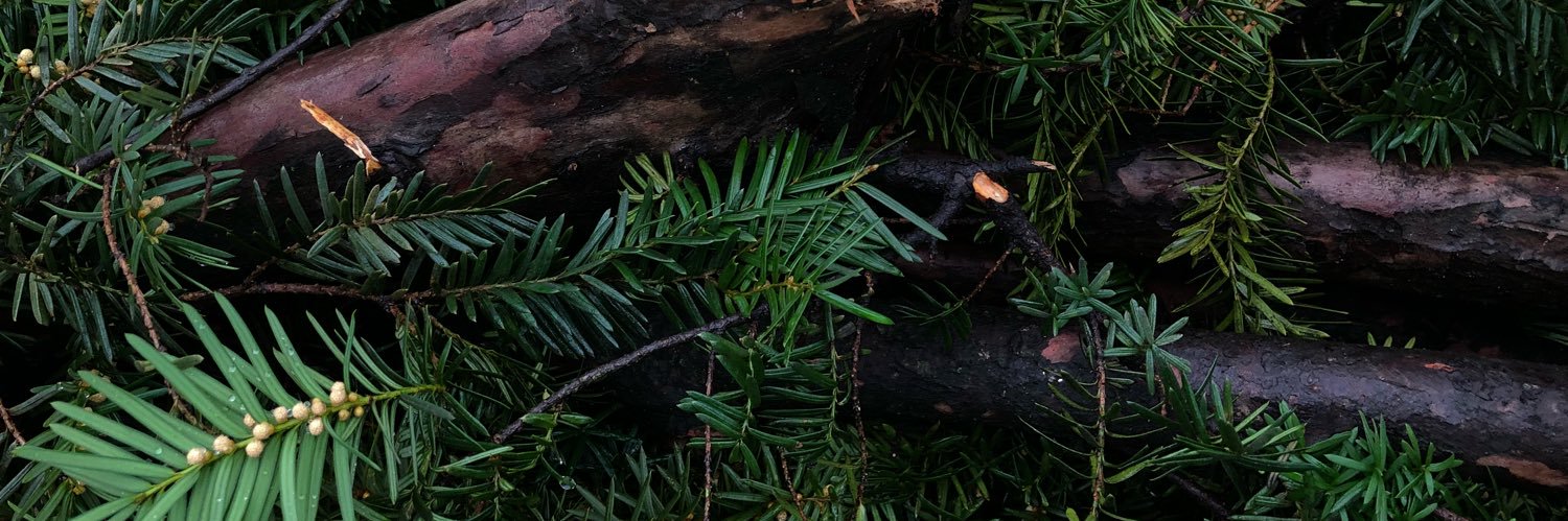 lisaberler's profile banner image