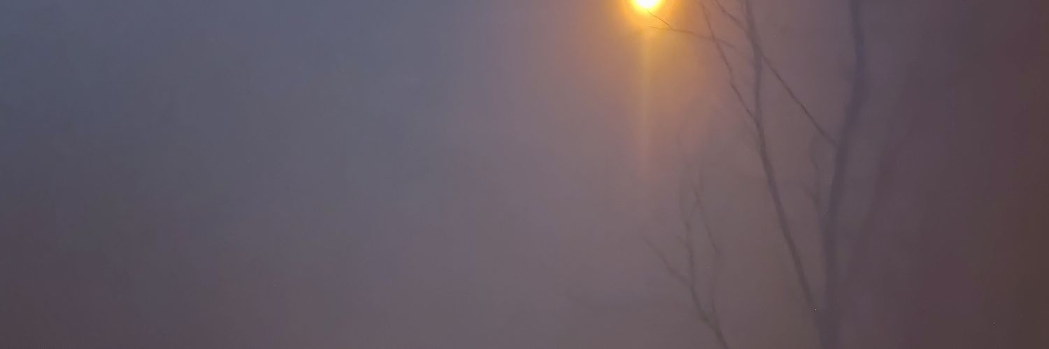timmymitch banner