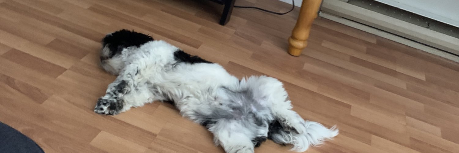 ChelsieEstey1's profile banner image