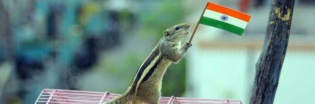 Kaliprasad592's profile banner image