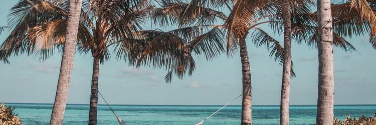 maiitegs's profile banner image