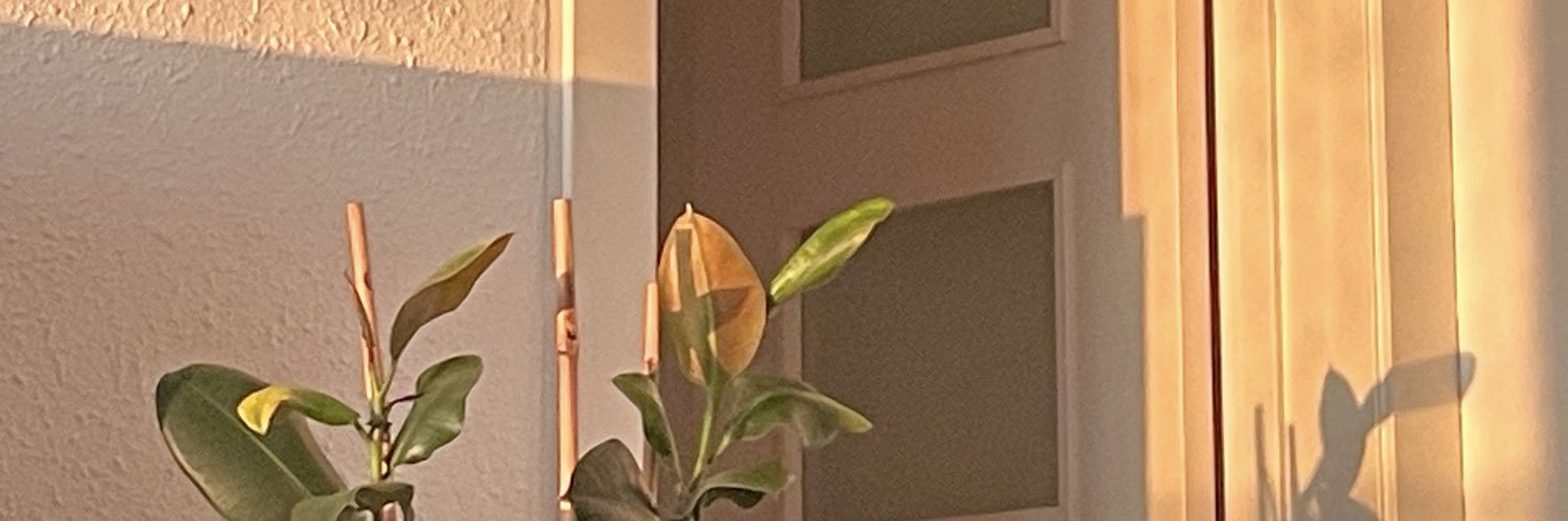 ImDelevingned's profile banner image