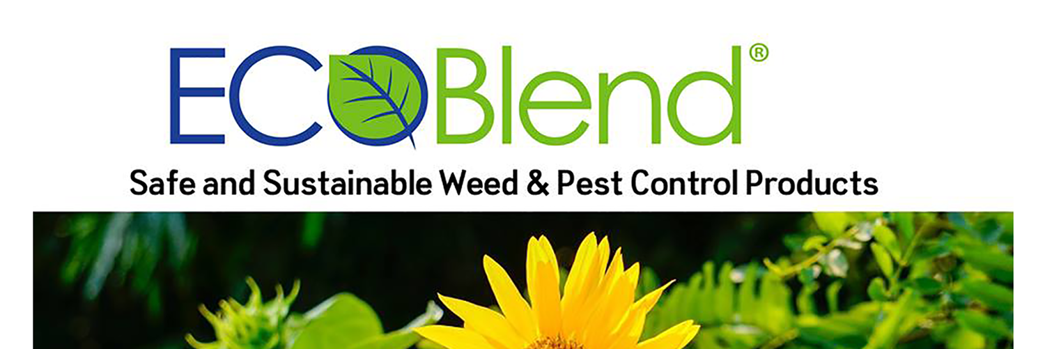 ecoblend_green's profile banner image