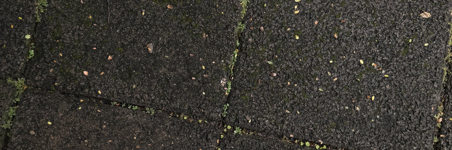 yespriscy's profile banner image